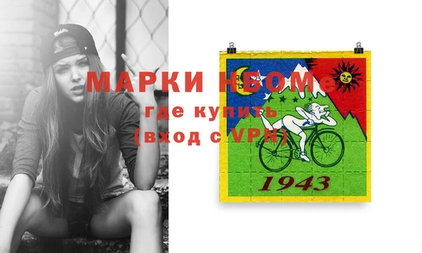 индика Аркадак