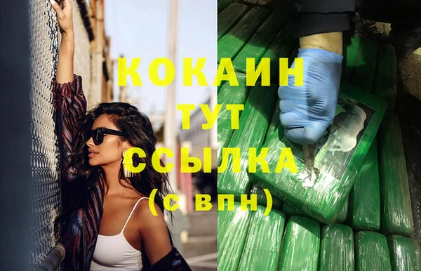 индика Аркадак