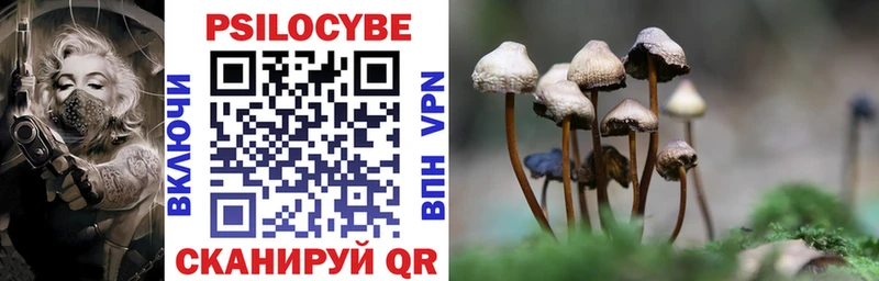 Купить закладки  Узловая  Псилоцибиновые грибы ЛСД 